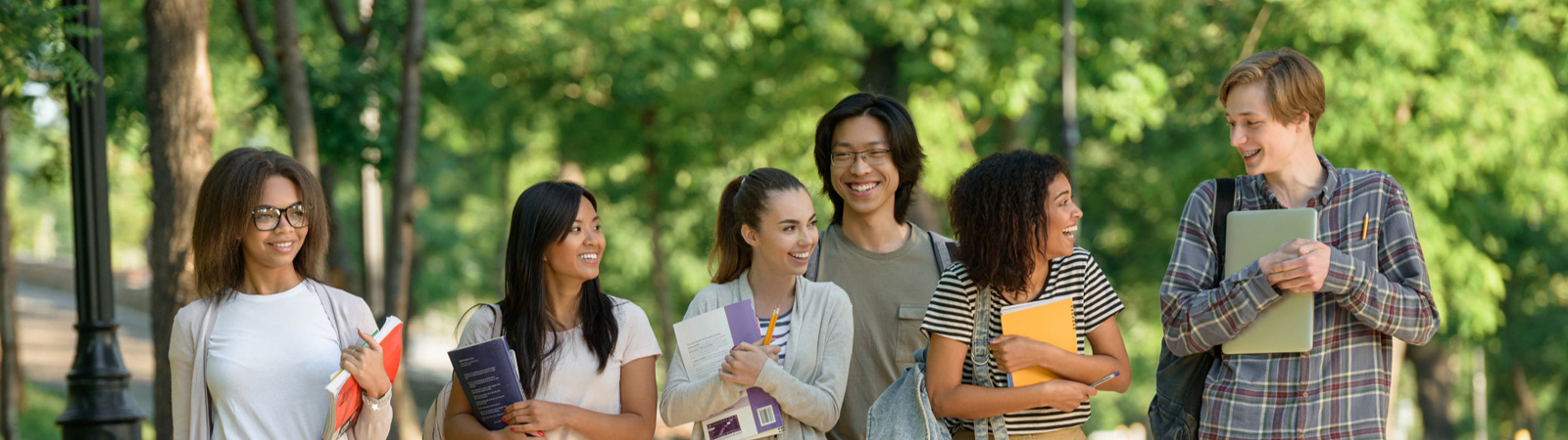 Certificate in Business Management